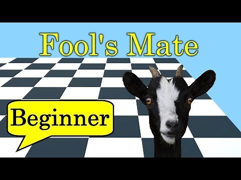 Checkmate in 2 Moves | Chess