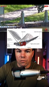 10K reactions · 11K shares | Chinese Marines using bird like drones for reconnaissance. . . . . . . . #fyp #fypシ #foryou #foryoupage #miltok #military #army #navy #airforce #marinecorps #usmarines #marine #coastguard #spaceforce #soldier #kagandunlap | Kagan.Dunlap | Facebook