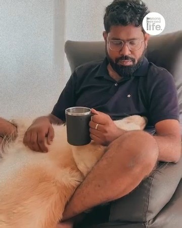 43K views · 219 reactions | Dog sneezes and spills tea | Lessons Learned In Life | Facebook