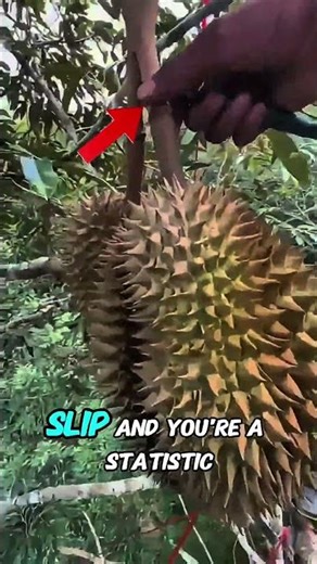 This might be the most dangerous job in the world