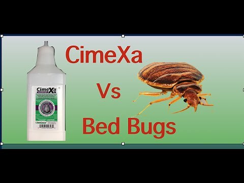 Cimexa Dust vs Bed Bugs