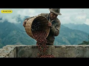 Coffee Beans AI Commercial Video | AI Advertisement | AI Product Animation TVC Ad | 3DLabz