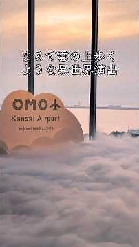 関西空港から早朝フライト予約してるなら、このホテルで前泊しとくと安心！