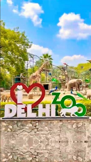 Delhi Zoo: FINALLY OPEN! ￼🐯
