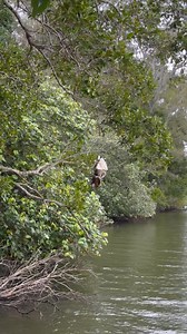 Great work, Rescue Crew! 🦸🏽 Going above and beyond to help wildlife in need! 🤍 | Wildlife Warriors