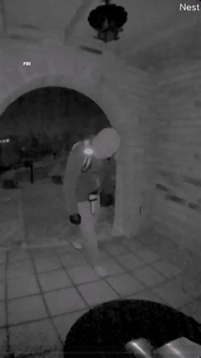 Jake Tapper on Reels