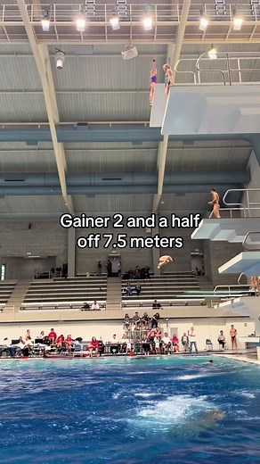 Exploring the Gainer Dive Technique