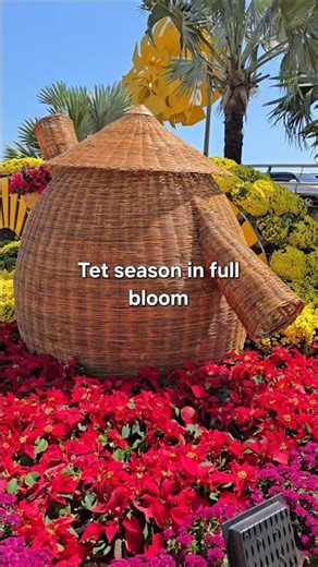 Tet Season in Full Bloom | Vietnam Welcomes the Lunar New Year