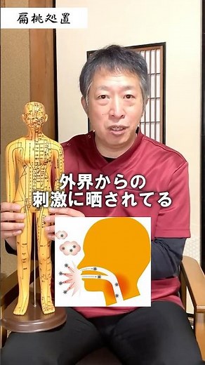 扁桃と免疫｜鍼灸治療のポイント
