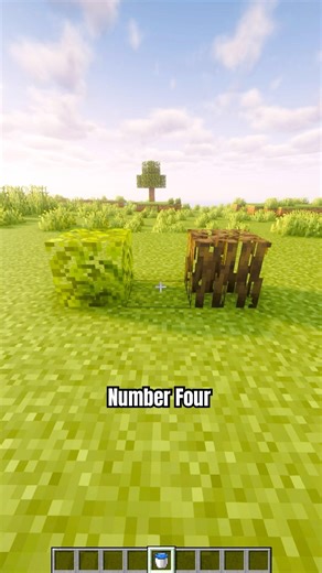 5 Random Minecraft Facts #minecraft #minecraftshorts