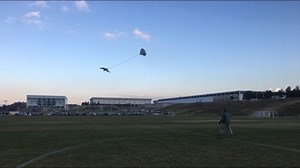What goes into being a member of the Air Force falconry team
