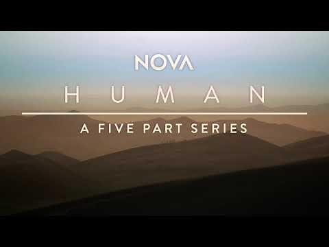 Preview - NOVA: HUMAN | Origins