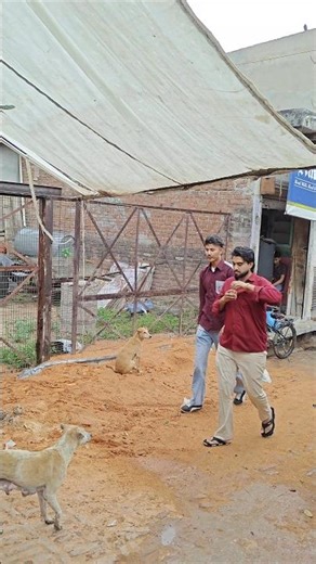 computer software industry in sab ko 😞##comedy #explortheworld #funnyimages #funnyimages #funny #ent