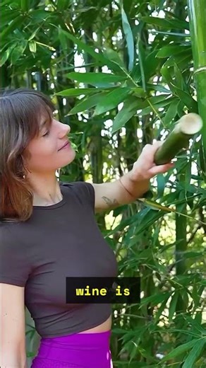 This Bamboo Can Produce Wine 🍷😳 #shorts