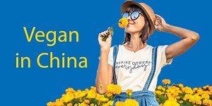 Living in China as a Vegetarian or Vegan || Top Dishes & Phrases