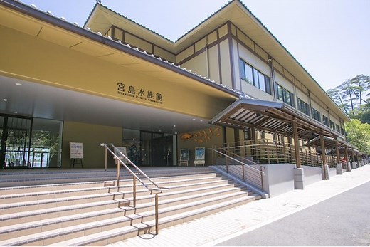 みやじマリン 宮島水族館の楽しみ方を徹底紹介！瀬戸内海の自然を体感しよう【コロナ対策情報付き】｜ウォーカープラス