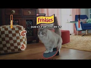 Friskies Best in the Bowl: Friskies Dry Cat Food commercial