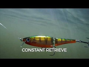 Swimming Action: BX Swimmer