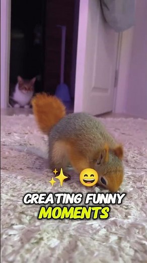 Squirrels Forget Where They Hid Their Nuts: Hilarious Fails Compilation! #Squirrel #funnyanimals