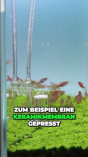 Efficient CO2 system with diffuser