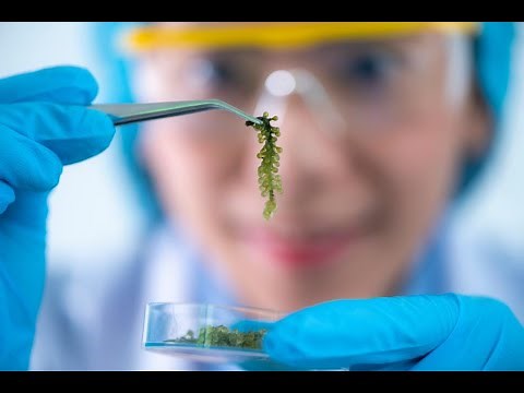 What is Blue Biotechnology - 2 Minutes Microlearning
