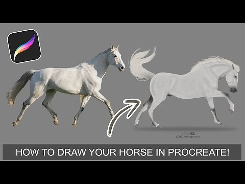 How to DRAW a HORSE on Procreate| Beginner Friendly Tutorial