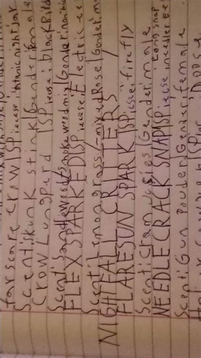 Oc's and Outimals #outimals