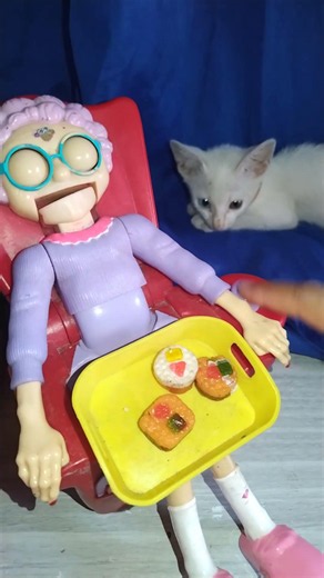🐼 two different color eyes of white cat and Granny asmr #asmr #granny #trending #viral #shorts