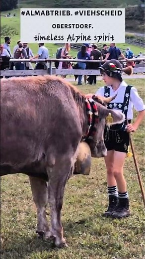 Almabtrieb Magic: Cows Return from the Alps! The colorful Viehscheid of Oberstdorf.
