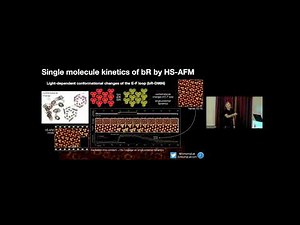 Simon Scheuring - Breaking Speed and Resolution Limitations of AFM | Nano meets Quantum 2022