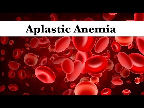 3-Aplastic Anemia(Bone marrow failure) by ASM Minds Team