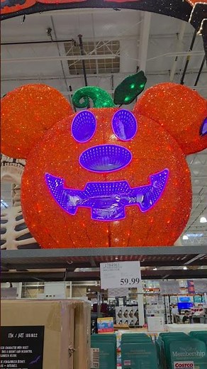 HUGE Mickey pumpkin at #costco #costcofinds #disney #mickey #halloween #2026
