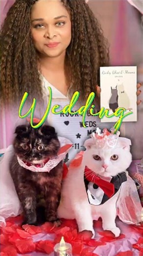 റോക്കി ഭായ് ❤️ മൂവാന വിവാഹ ദിനം… നിങ്ങളുടെ അനുഗ്രഹങ്ങൾ നമ്മോട് കൂടെ ഉണ്ടാകട്ടെ! – സാക്ഷി & ഹണി #cat