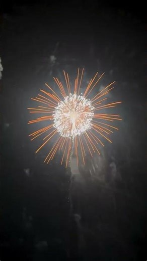 10" Inch Chrysanthemum To Flying Dragon w/Crackling Pistil Rise/Gold Tail #yungfengdisplayshells