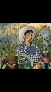 25K views · 8.4K reactions | Prince on 'Muppets Tonight,' 1997 #prince #muppetstonight #princerogersnelson #themuppetshow #muppets #theartistformerlyknownasprince #90stv #1997tvshow | Night Flight | Facebook