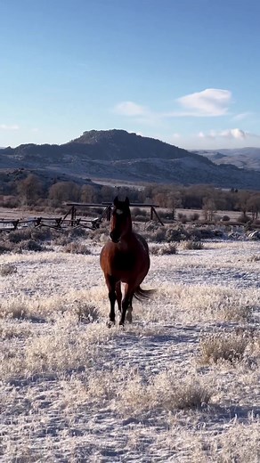 Ride more. Worry less. #HorsebackRiding #GuestRanch