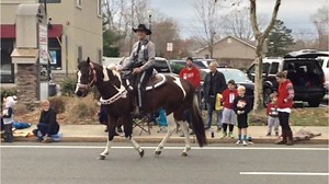 How To Train A Police Horse