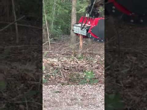Mongo mulcher on the Sany 50