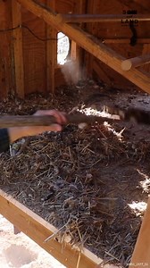 79K views · 819 reactions | How We Clean Our Chicken Coops #Chickens #Farming #Eggs #ChickenCoop | Sow the Land | Facebook