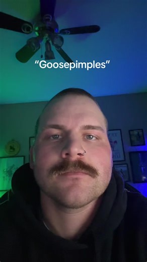 Rebelacious (@rebelacious)’s videos with original sound - Rebelacious