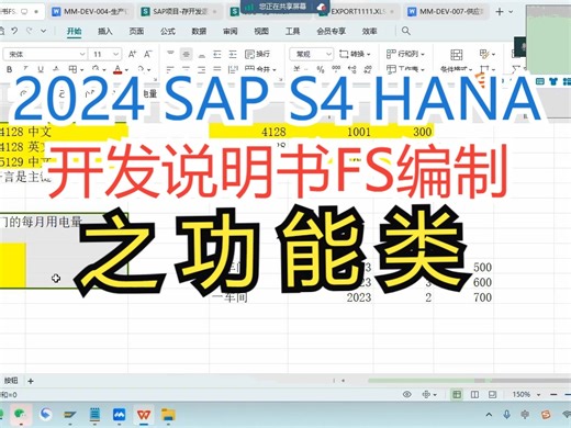 2024 SAP S4 HANA MM实战项目之开发说明书FS编制_功能类 SAP MM SAP PP SAP SD SAP FICO SAP ABAP