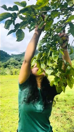 What's This Fruit? 🤔#shorts