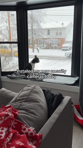 Effective Neighborhood Watch Strategies with Security Cameras