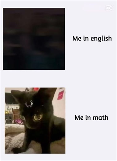 Math is my enemy #hatemath#cute#funny