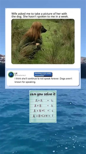 Guessing why #short #funny #memes