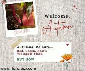 💛❤🍂🧡🍂💛❤ The warm, rich colours of Autumn are filling our senses ... Have you ordered boxes for your Autumnal bouquets? Pop over to www.floralbox.com and put your order in now | Floralbox Packaging