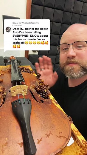 Beehive Violin: A Musical Journey with Bees and Strings