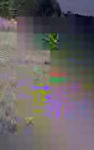 777K views · 4.3K reactions | Python Vs Wolf. Pyrhon attacks Wolf | Hugh Best | Facebook