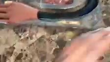 Watch Awesome practice Hand !! on Amazon Live