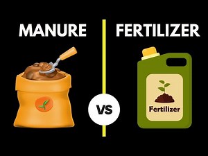 Difference Between Manure and Fertilizer